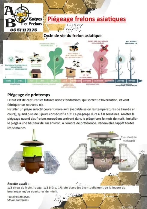 Acheter votre piège pour les frelons asiatiques
