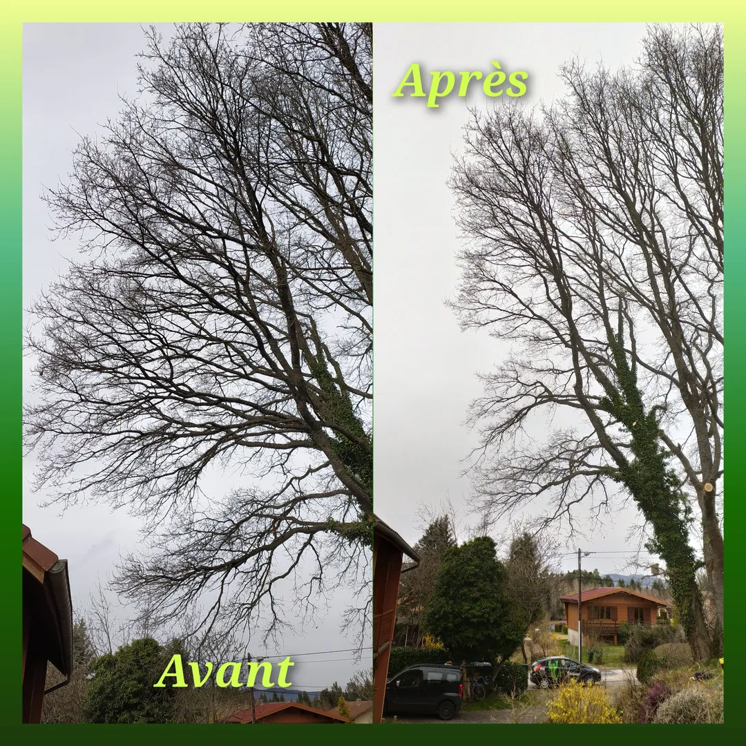 Quelques photos de réalisations