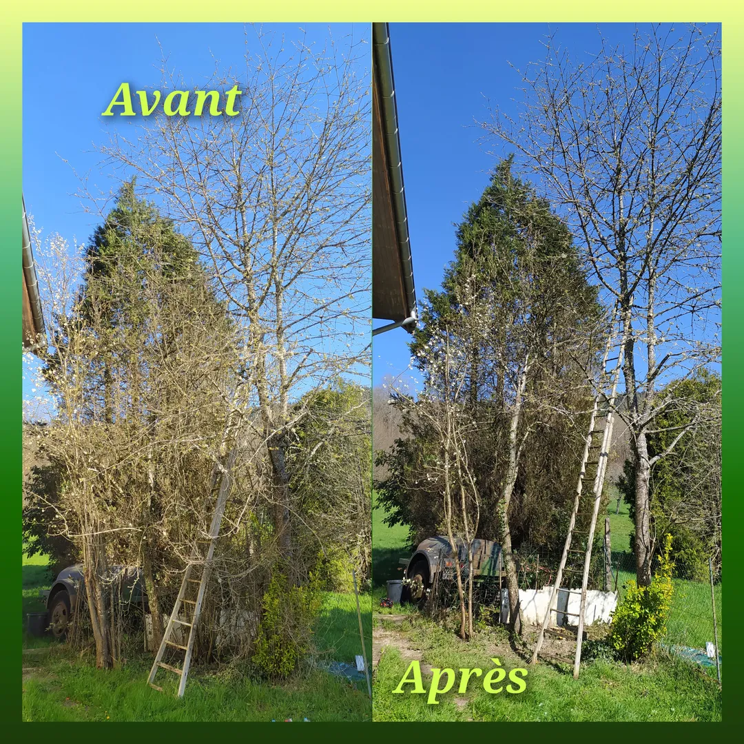 Quelques photos de réalisations