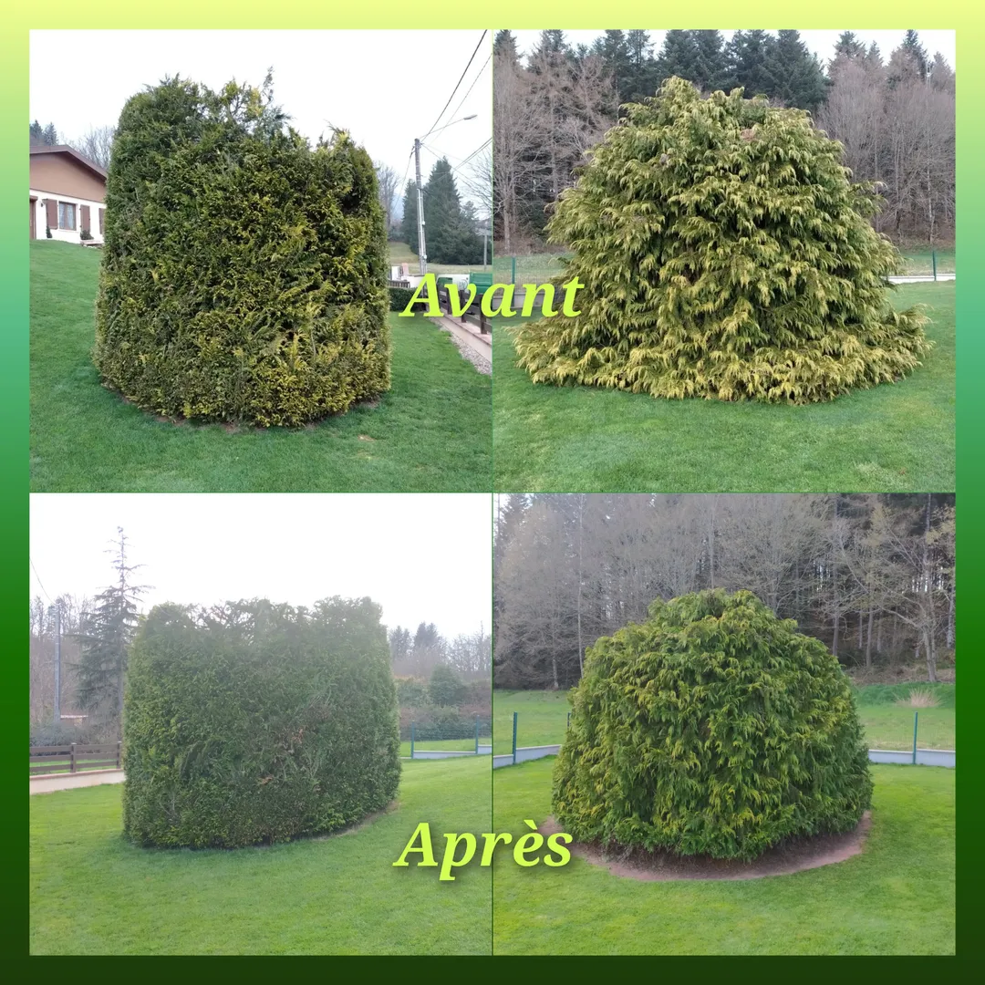 Quelques photos de réalisations