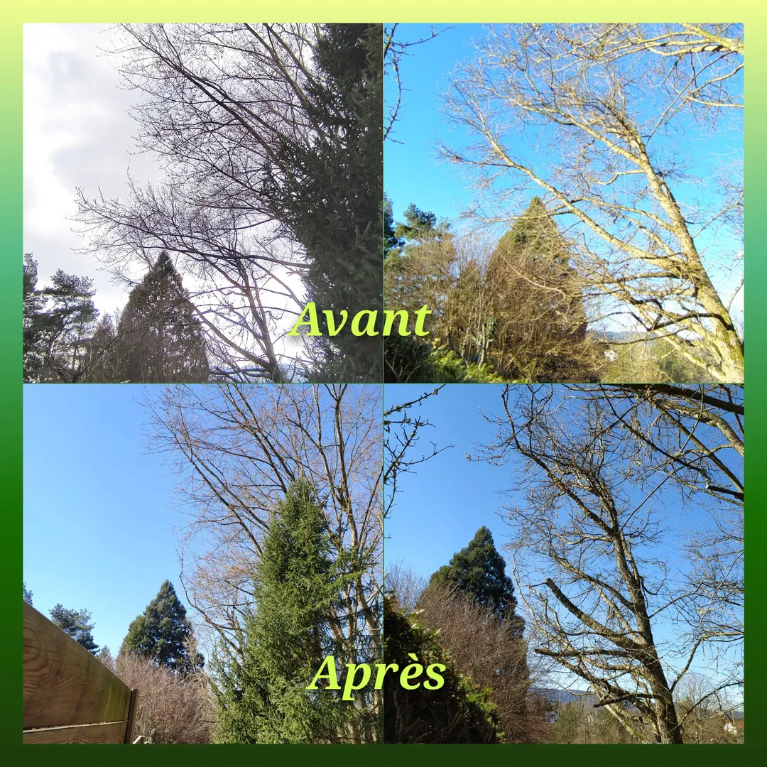 Quelques photos de réalisations