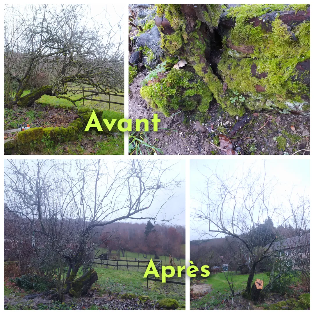 Quelques photos de réalisations