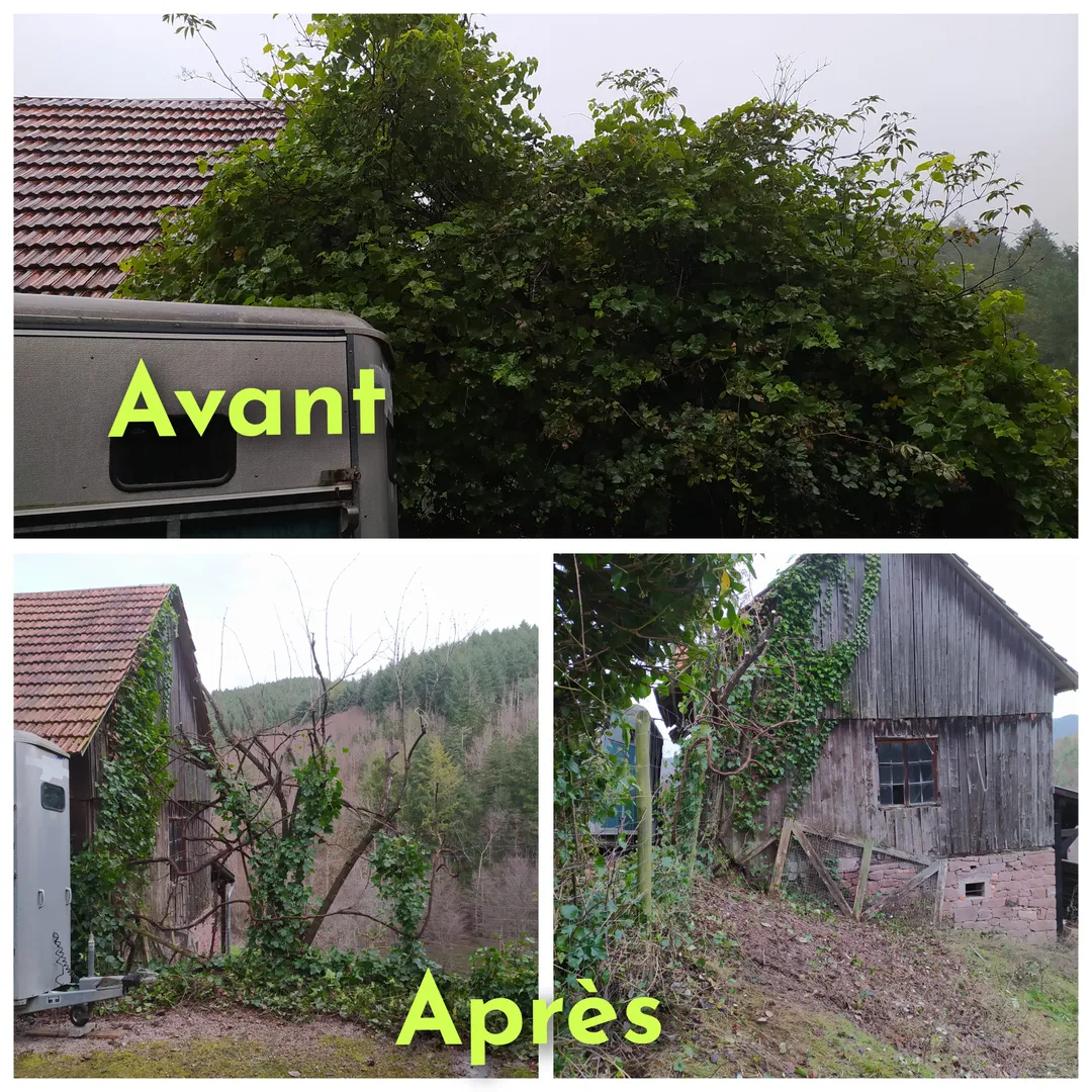 Quelques photos de réalisations