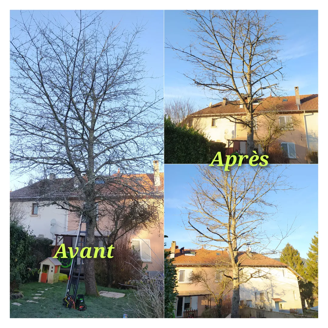 Quelques photos de réalisations