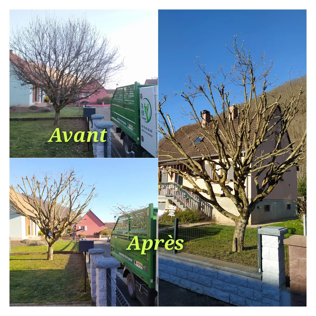 Quelques photos de réalisations