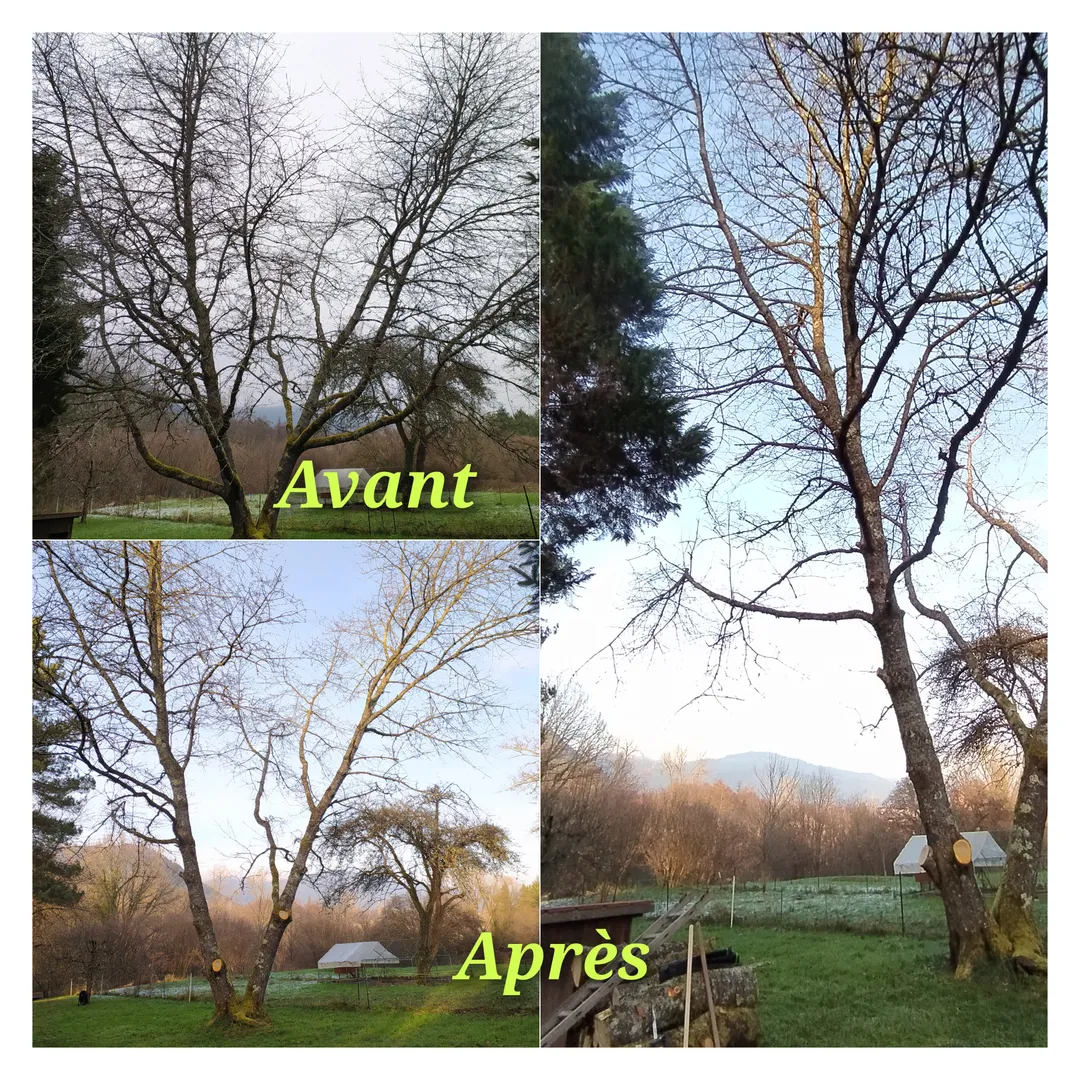 Quelques photos de réalisations