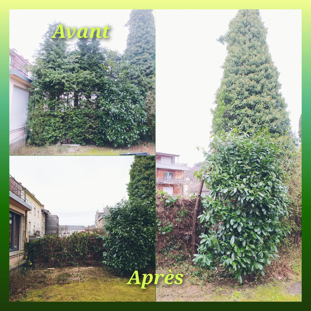 Quelques photos de réalisations