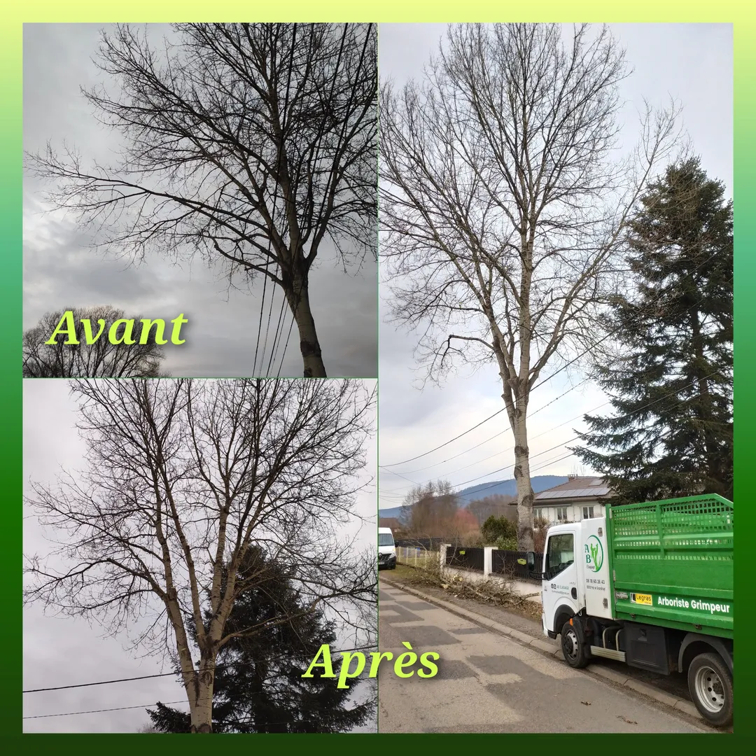 Quelques photos de réalisations