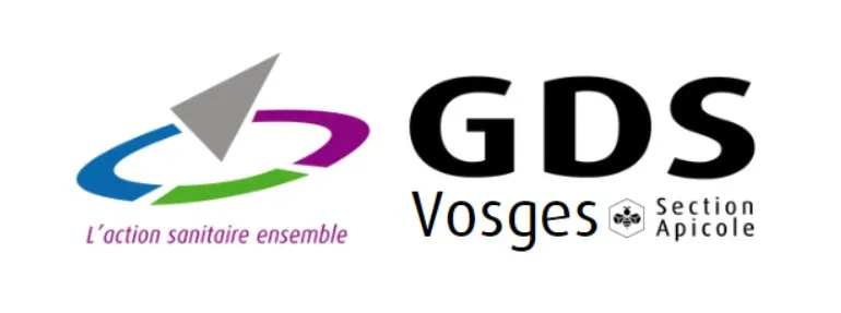 Piégeage de printemps du frelon asiatique